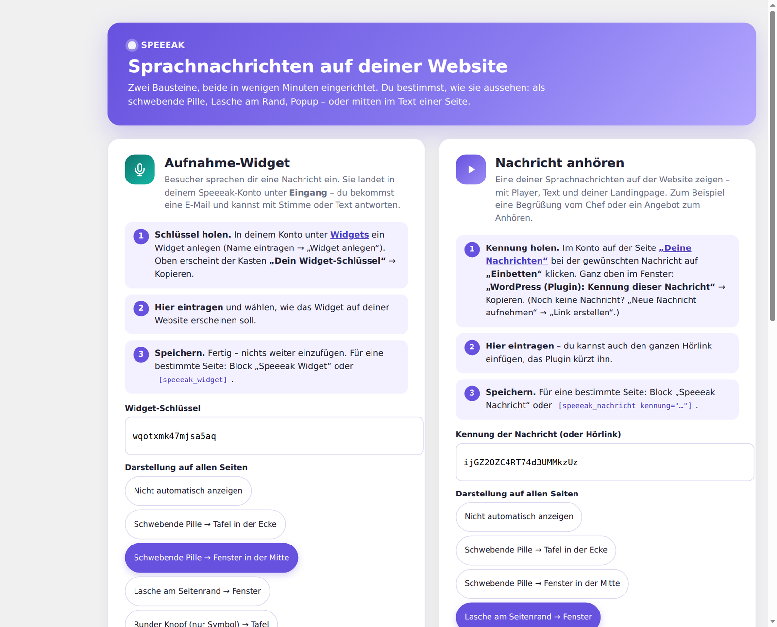 Settings page of the plugin